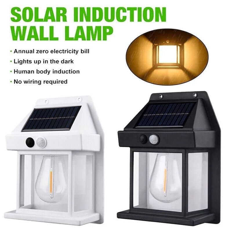 Solar Outdoor Wall Light | Zero Electricity | Pack of 2